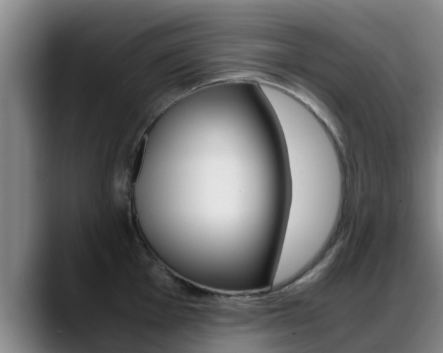X0000089431001200706151018