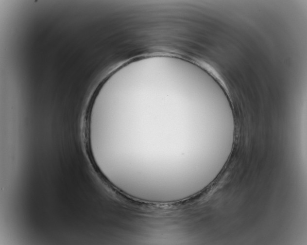 X0000089431003200706151018