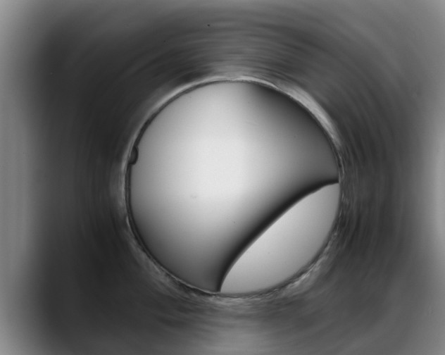 X0000089431004200706151018