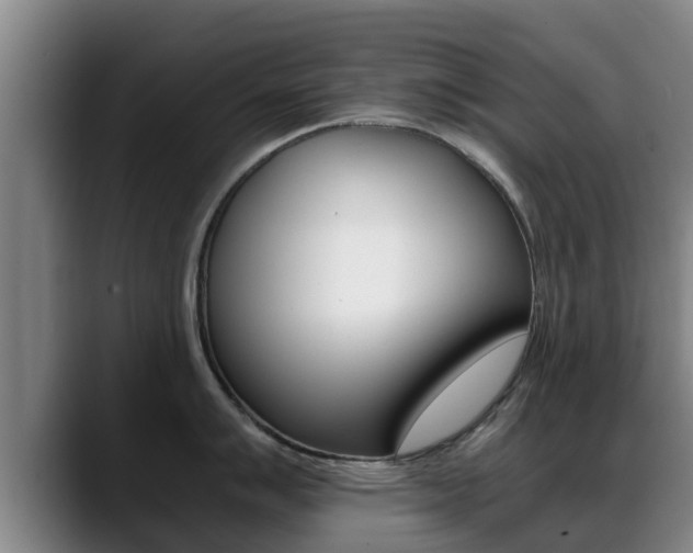 X0000089431007200706151018