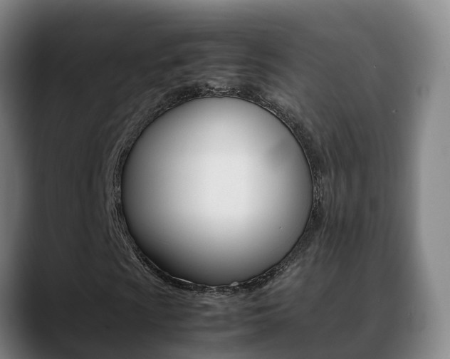 X0000089431009200706151018