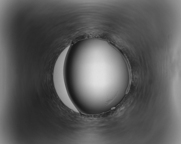 X0000089431010200706151018