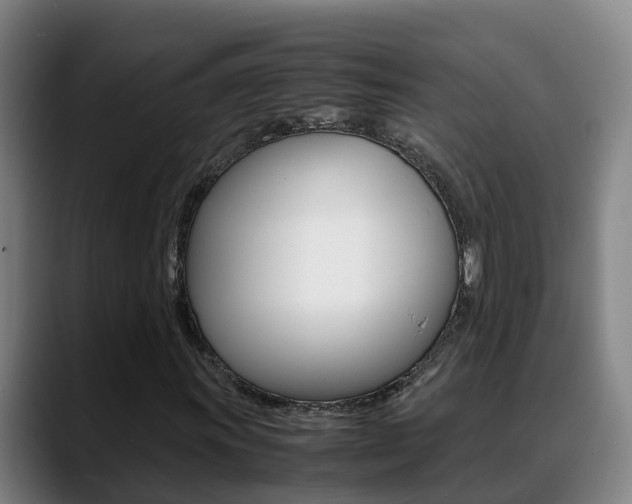 X0000089431011200706151018