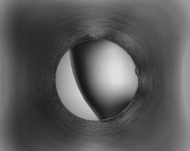 X0000089431012200706151018