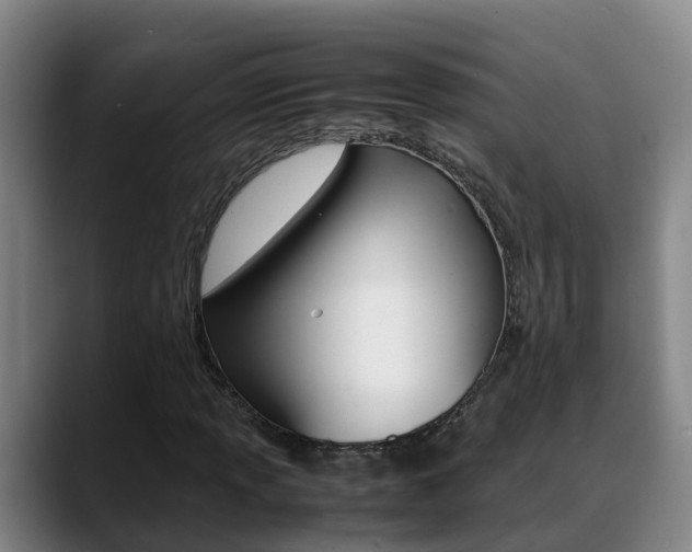 X0000089431013200706151018