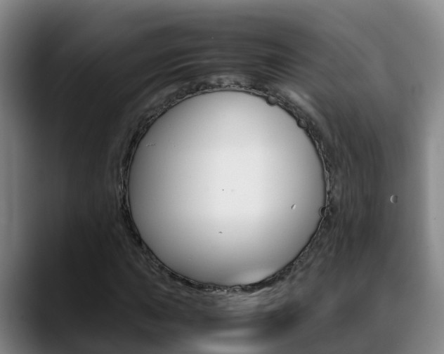 X0000089431015200706151018