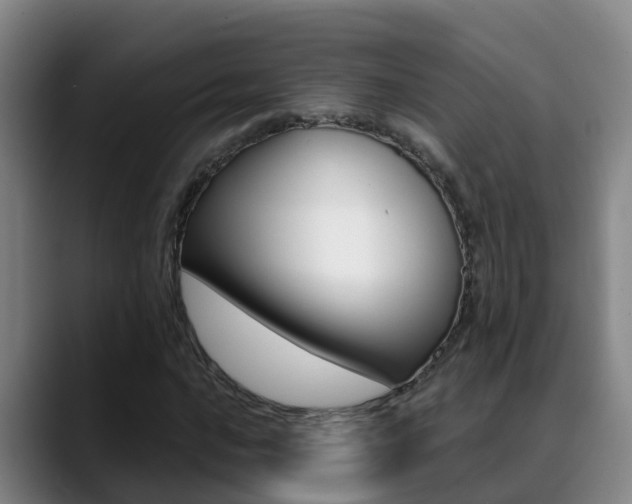 X0000089431016200706151018
