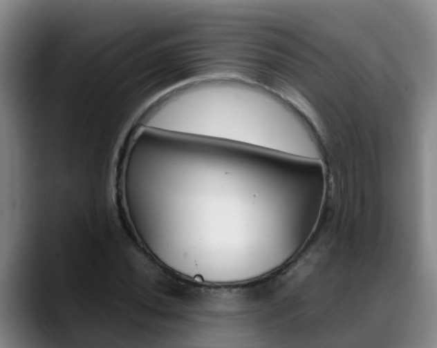 X0000089431020200706151018
