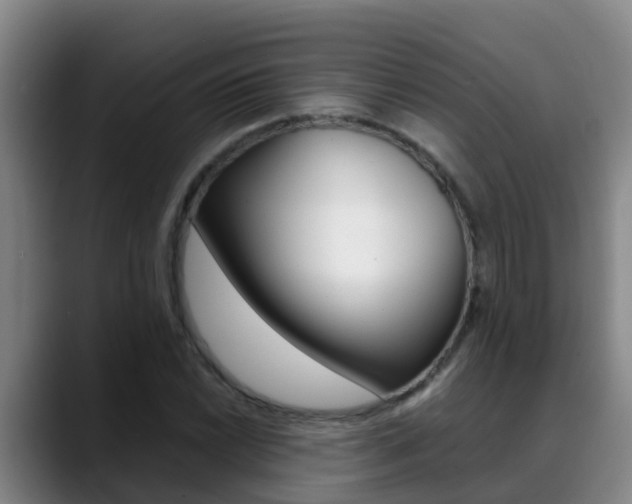 X0000089431022200706151018