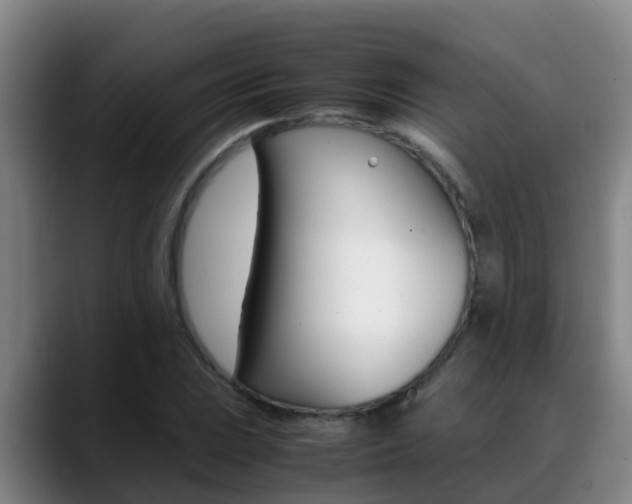 X0000089431023200706151018