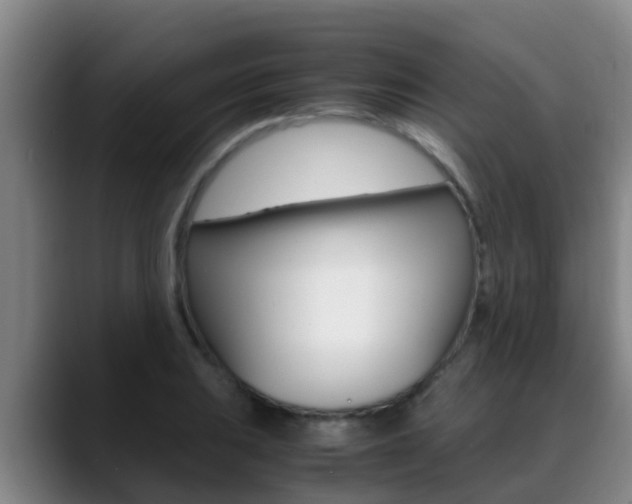 X0000089431031200706151018