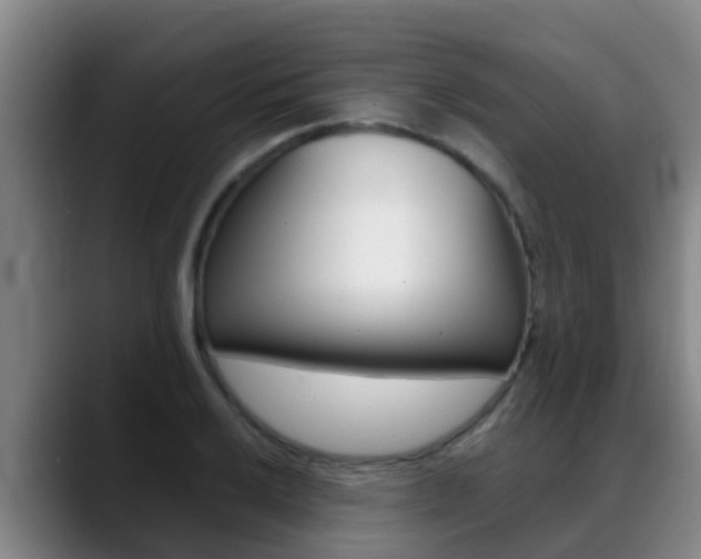 X0000089431032200706151018
