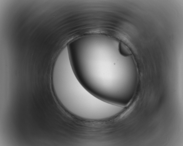 X0000089431033200706151018
