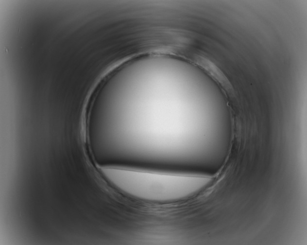 X0000089431036200706151018