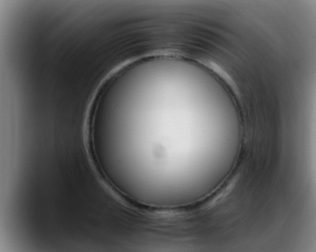 X0000089431037200706151018