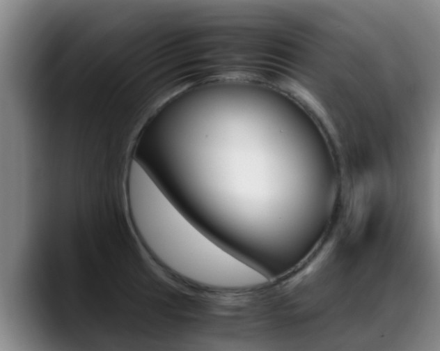 X0000089431041200706151018