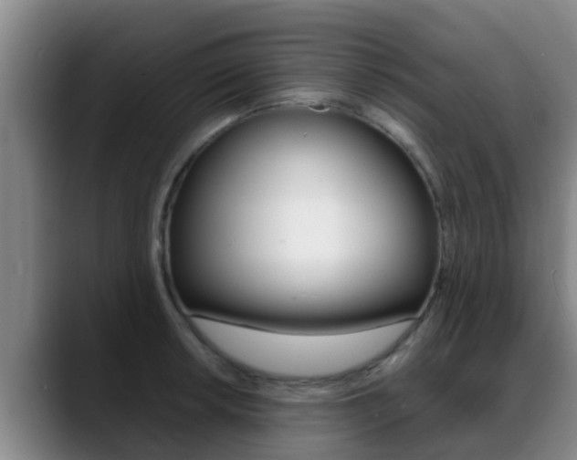 X0000089431042200706151018