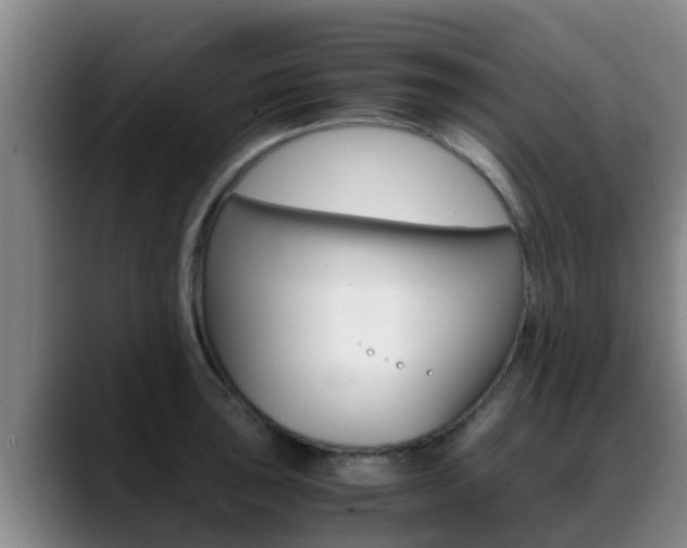 X0000089431043200706151018