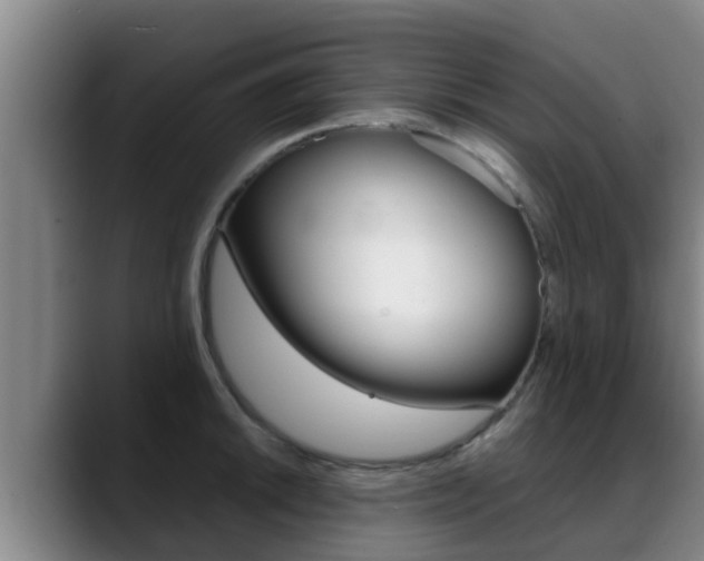 X0000089431046200706151018