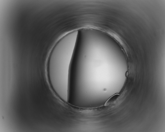 X0000089431048200706151018