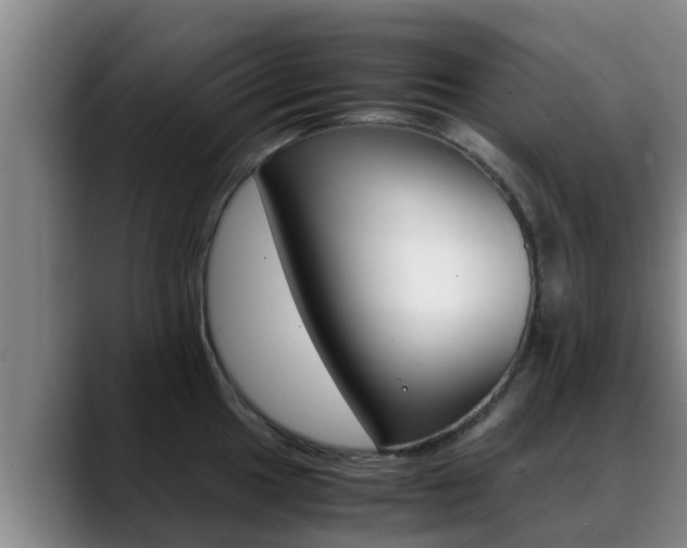 X0000089431049200706151018