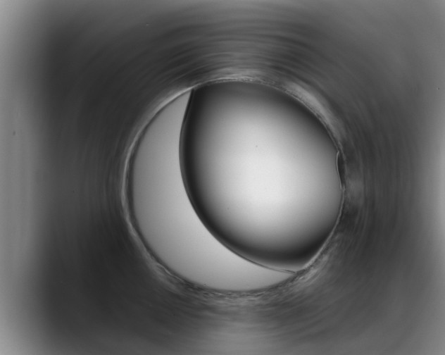 X0000089431050200706151018