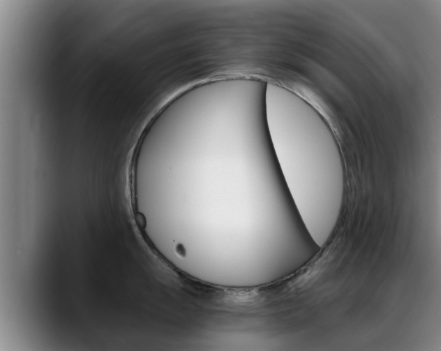 X0000089431055200706151018