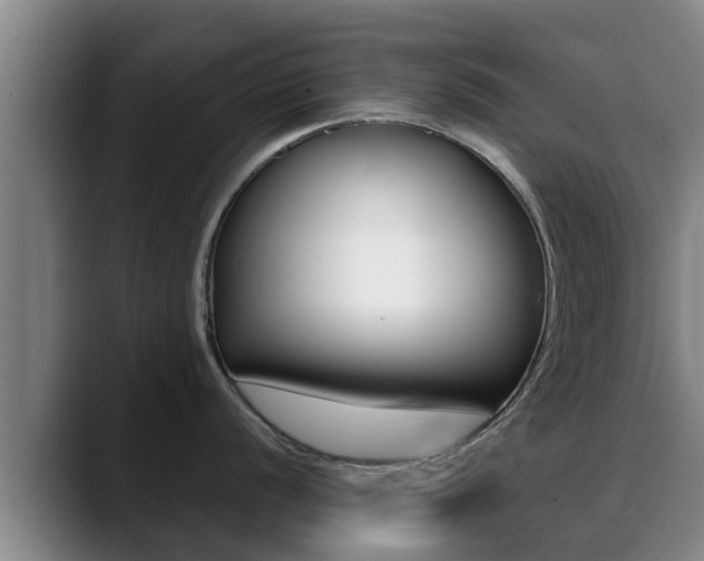 X0000089431056200706151018