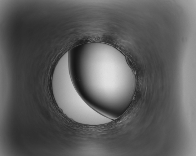 X0000089431057200706151017