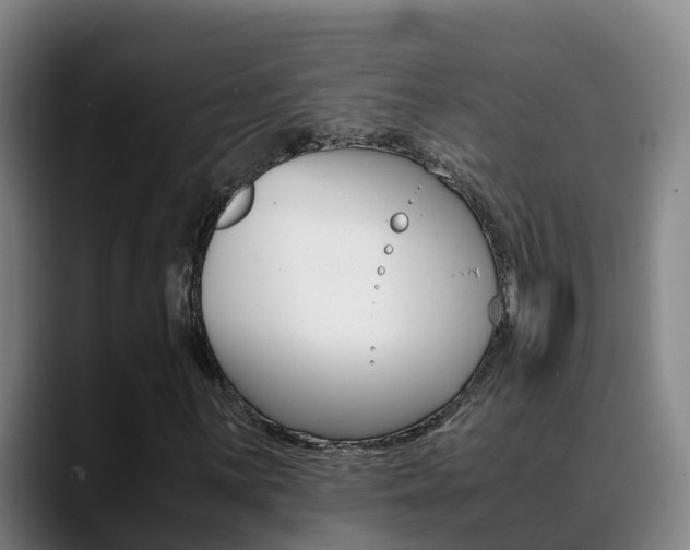 X0000089431059200706151017