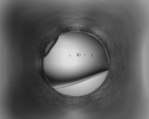 X0000089431061200706151017