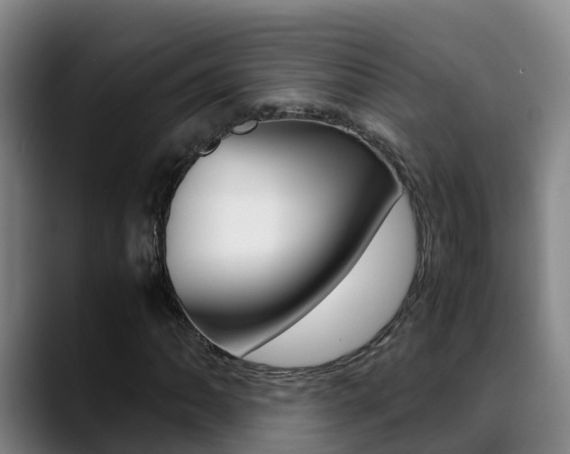X0000089431062200706151017