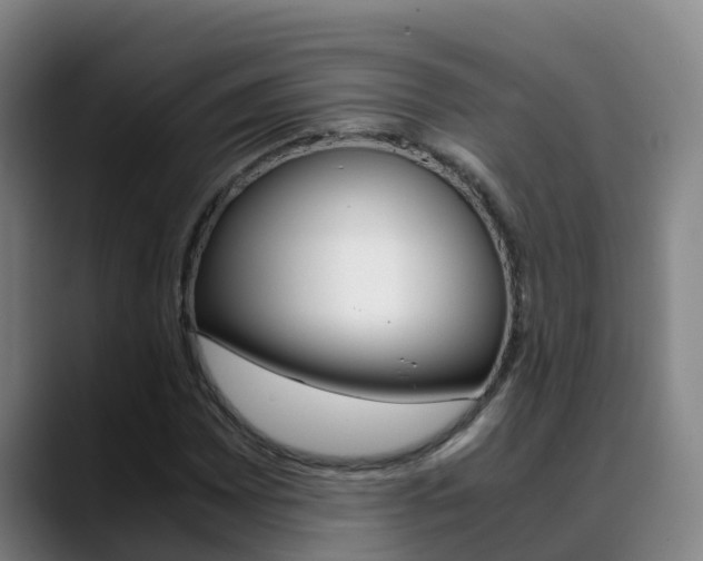 X0000089431065200706151017