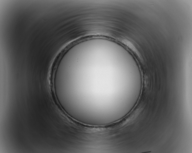 X0000089431068200706151017