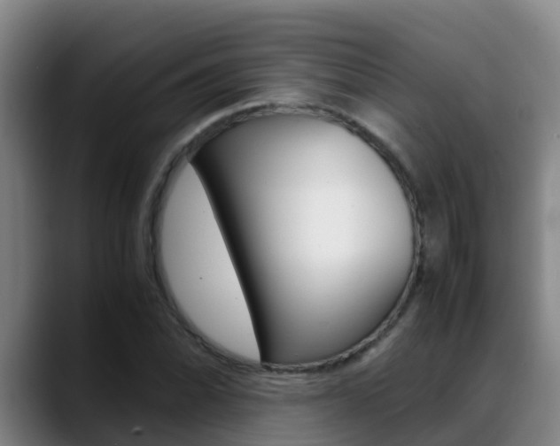 X0000089431070200706151017