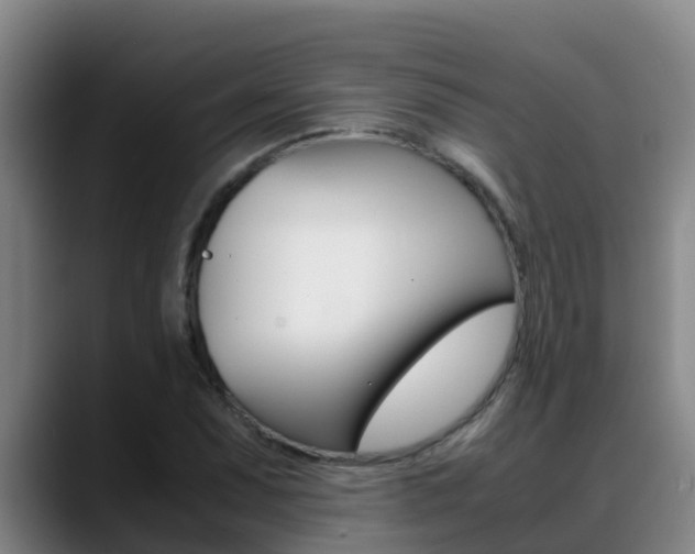 X0000089431071200706151017