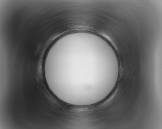 X0000089431074200706151017