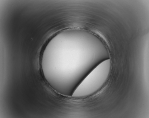 X0000089431075200706151017