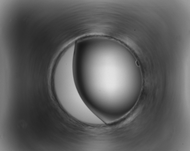 X0000089431077200706151017
