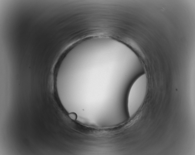 X0000089431079200706151017