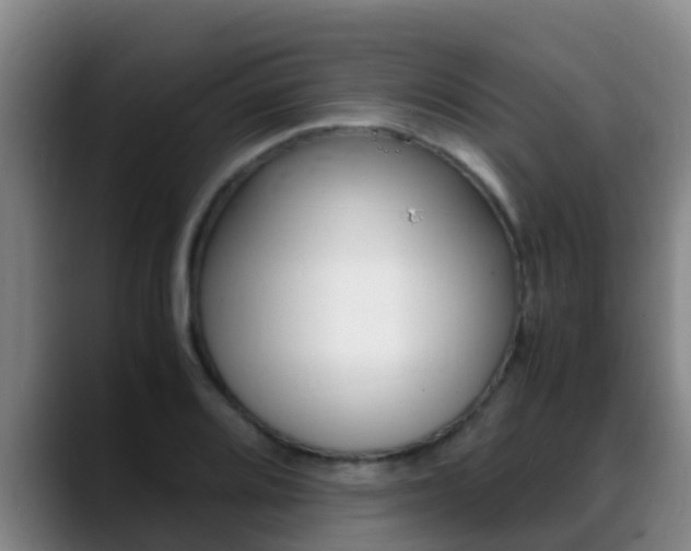 X0000089431080200706151017