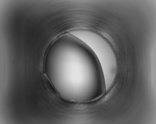 X0000089431081200706151017