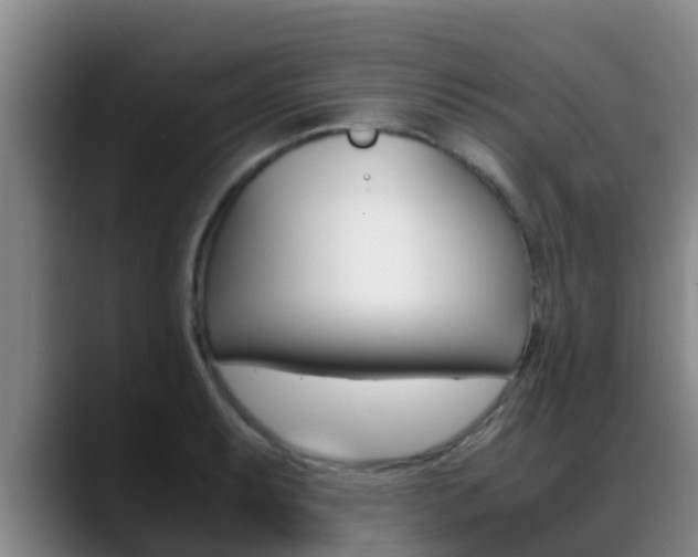 X0000089431087200706151017
