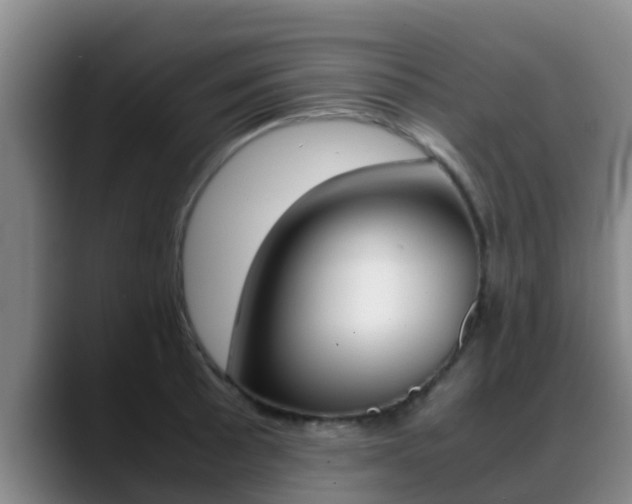 X0000089431089200706151017