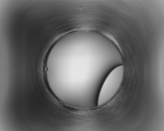 X0000089431091200706151017