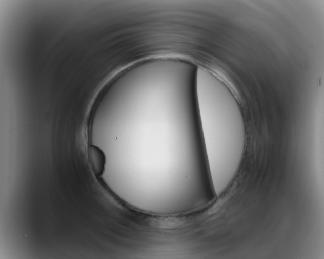 X0000089431092200706151017