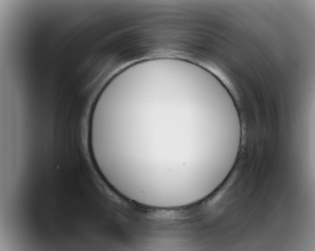 X0000089431094200706151017