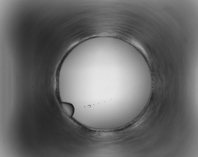 X0000089431095200706151017