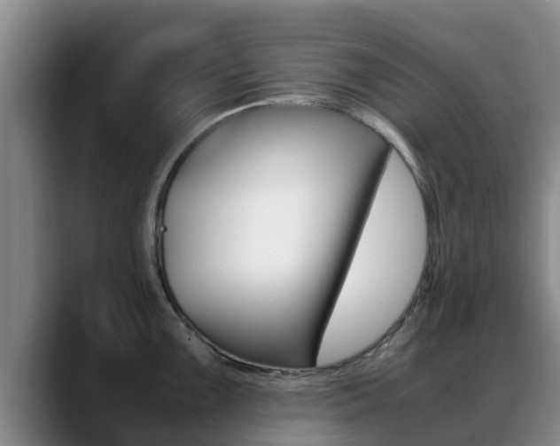 X0000089431099200706151017