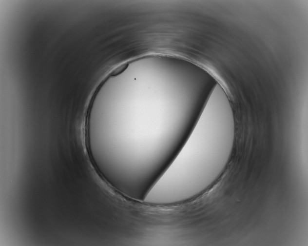 X0000089431100200706151017